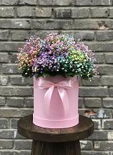 Цветочная композиция из Гипсофила и Розы в шляпной коробке #REPLACE_PRED# Кочубее