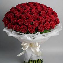 Букет 101 Красная роза Блэк Мэджик в Кочубее