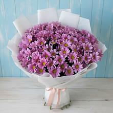 Букет цветов из:  Хризантемы в Кочубее