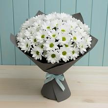 Букет цветов из:  Хризантемы #REPLACE_PRED# Кочубее