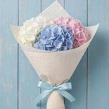Букет цветов из:  Гортензия в Кочубее