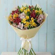 Букет цветов из:  Альстромерии в Кочубее