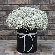 Цветочная композиция из Гипсофила в шляпной коробке в Кочубее