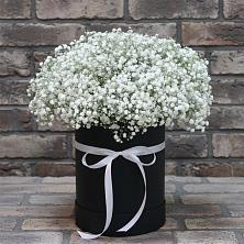 Цветочная композиция из Гипсофила в шляпной коробке в Кочубее
