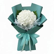 Букет цветов из:  Гортензия #REPLACE_PRED# Кочубее